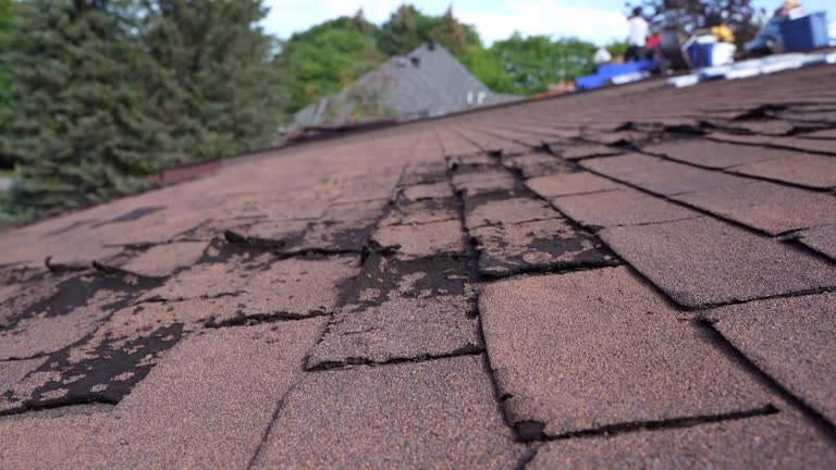 Roof Insulation Installation in Manorhaven, NY